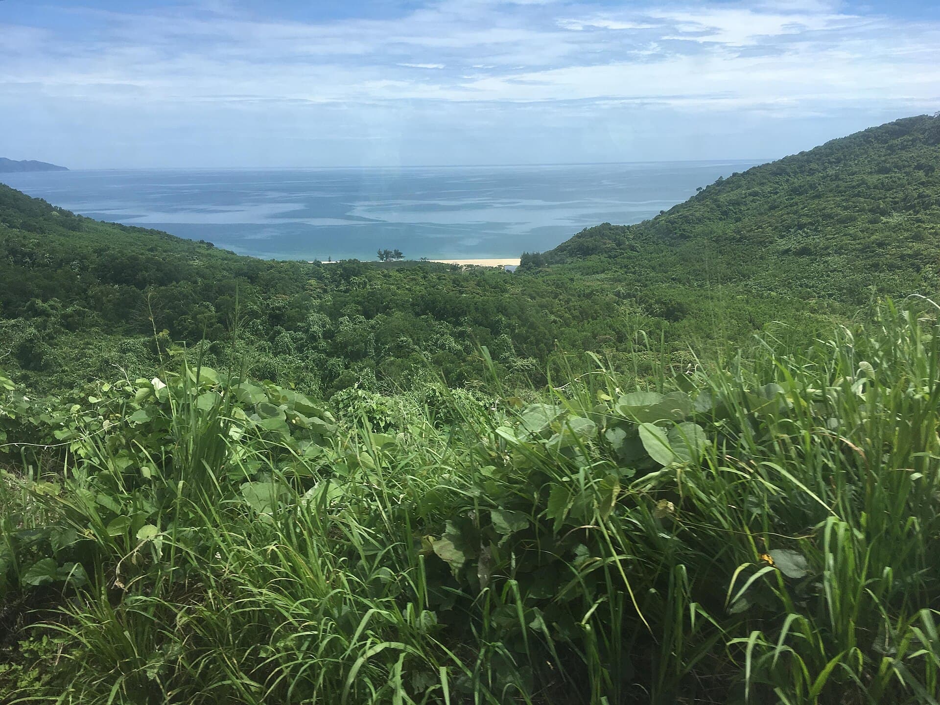 Review image da-nang